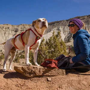 Adventure Walk (90-Minute)