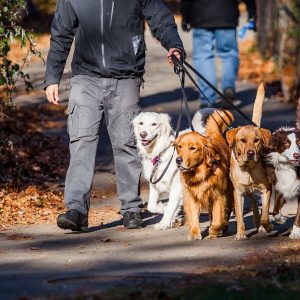 Group Walk (45-Minute)