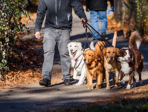 Group Walk (45-Minute)